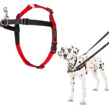 AyrStore Company Of Animals Halti Köpekler Için Önden Kontrollü Göğüs Tasması, Orta Boy