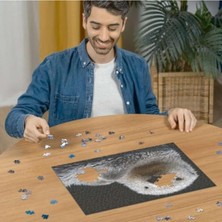 Aydogan's 500 Parçalı Su Samuru Temalı Puzzle