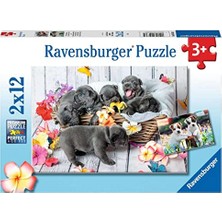 Aydogan's , 2X12P Puzzle Yavru Köpekler, Çocuk Puzzle