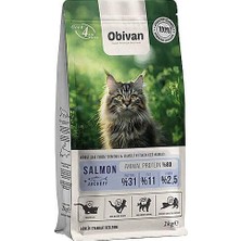 Aydogan's Somonlu ve Hamsili Yetişkin Kedi Sı 2 kg