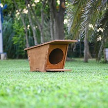 Aydogan's Ahşap Mini Kedi Evi (Yeni Doğan Evi)