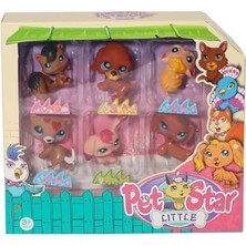 Aydogan's Pet Star Lıttle 6lı Mınıs