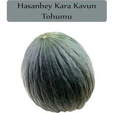 Aydogan's Hasanbey Kavun Tohumu 1 Paket (10GR=300+ADET) Kara Kavun