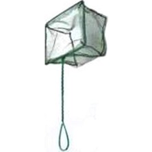 Aydogan's Kepçe, 15 Cm, Akvaryum Için