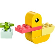 Aydogan's LEGO Duplo 30673 My First Duck
