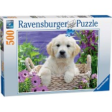 Aydogan's 500 Parça Yapboz Golden Retriever