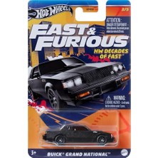 Aydogan's Hot Wheels Fast & Furious Buick Grand National HRW43