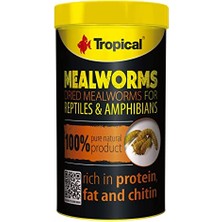 Aydogan's Meal Worms Un Kurdu 250ML 30 gr