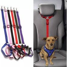 Odea Köpek Emniyet Kemeri ve Gezdirme Tasması, Sıfır Risk