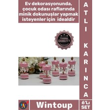 Moontime Alaçatı #atlıkarınca Hediyelik Dekoratif Bebek Şekeri Mevlüt Obje Şık 6'lı Açık Pembe Ufak Atlı Karınca