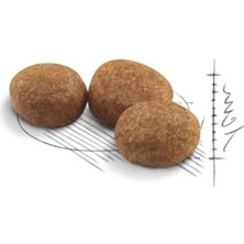 Odea Kısırlaştırılmış Kediler Için 15 kg Kuru Mama