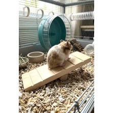 Aydogan's Hamster Oyuncağı Tahtıravalli - Doğal Ahşap - 20X7 cm