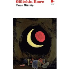 Alakarga Sanat Yayınları Yaralı Gümüş