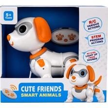 Ceylan Adam Mey Ithalat® 8324B Uzaktan Kumandalı Robot