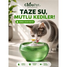 Muhtelif Papatya Şeklinde Otomatik Kedi-Köpek Işıklı Su Pınarı 2lt
