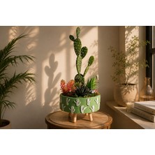 BGG 🌵 Ada Verde – Desert Horizon  Premium Kaktüs & Sukulent Aranjmanı