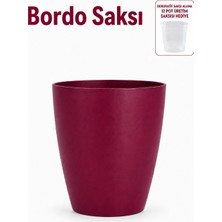 ByKurt Orkide Saksısı Dekoratif Dış Saksı Vişne 1 Adet- 12 Pot Şeffaf Orkide Üretim Saksısı Hediyeli
