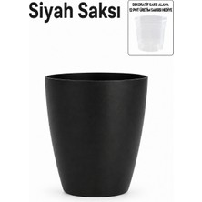ByKurt Orkide Saksısı Dekoratif Dış Saksı siyah 1 Adet- 12 Pot Şeffaf Orkide Üretim Saksısı Hediyeli
