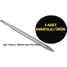 Profesyonel Sgs 14MM * 250MM Sds Plus Murç 3 Adet