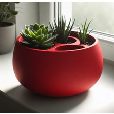 Popüler Sepet 3D Baskı 3lü Sukulent Saksısı ve Kalemlik Organizer - Dekoratif Masaüstü Bitki Saksısı-Kırmızı