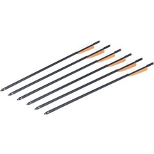 Belirtilmemiş Crosman Carbon Yedek Ok (6 Adet)