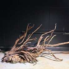 Sare Akvaryum Black Flame Wood