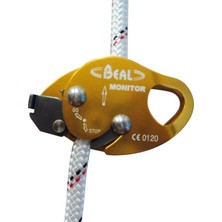 Belirtilmemiş Beal Monıtor