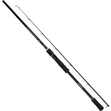 Shimano Bassterra A Seabass Spinning 2,90M 15-60