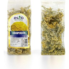 Poşet Civanperçemi 30 Gr.