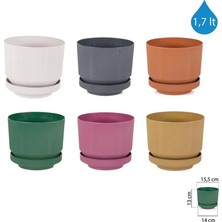 1no Saksı 1.7lt 1 Adet ROYALEKS-S281