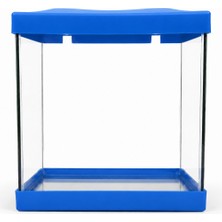 Dayı Pet Dayıpet 20 cm  Mini Akvaryum Mavi 20 x 15X 22 cm