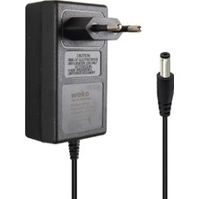 ALK 8.4V - 1 Amper 2s Lithium Ion Battery Charger 5.5-2.5mm Lityum Iyon Piller Için Uygun Şarj Cihazı