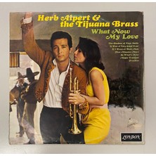 LONDON Herb Alpert & The Tijuana Brass What Now My Love Lp Plak (1966 Dönem Baskı)