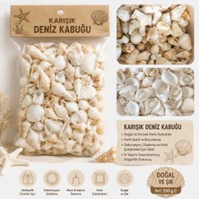 250 gr Karışık Deniz Kabuğu