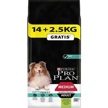 Pro Plan Proplan 16,5kg Yetişkin Lamb&rice Köpek Maması