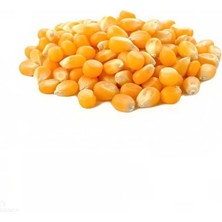 Cin Mısır 1 kg