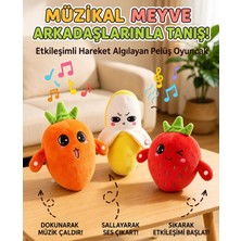 DMR Accessoire Müzikal Peluş Oyuncağın Iki Kişi Ellerinden Tutun ve Birbirinizin Koluna Dokunun Müzik Çalıyor Karışık Renk