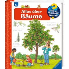 Ozka Concept Alles Über Bäume (Wieso? Weshalb? Warum?, Band 52)