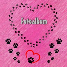 Ozka Concept Independently Published Fotoalbum Haustiere Meerschweinchen Kaninchen Hamster Zucht Buch Hunde Katz