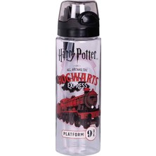 Ozka Concept Harry Potter Hogwarts Express Matara, 500 ml
