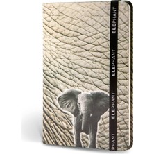 Ozka Concept Le Color Kumaş Defter Çizgili Lastikli Fil