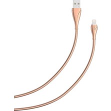 Ozka Concept Psr Aksesuar Gold Gold LS28 USB Kablo-