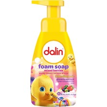 Ozka Concept Dalin Köpük Sabun Orman Meyveli 200 ml