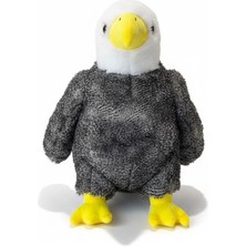 Uravas Store PL50253 45 cm Kartal