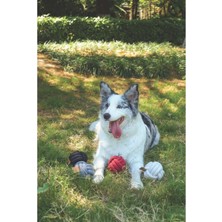 M-Pets Coto Red Ball 9,5cm Örgü Top Oyuncak