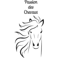 Ozka Concept Independently Published Passion Des Chevaux: Carnet Vierge Fantaisie, Ligné, Couverture Cheval Et I