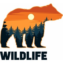 Ozka Concept Sticker Usta Ayı - Doğa - Manzara - Kamp - Wild Life -Off Road - -Bear - Kamp Wildlife Of