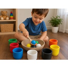 Popüler Sepet 3D Baskı Renk Eşleştirme ve Top Yakalama Oyunu - Montessori Eğitici Motor Beceri Oyuncağı