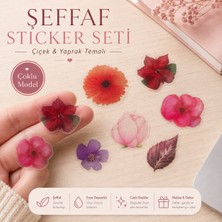 Miray Craft 14 Sayfa Şeffaf Çiçek Temalı 12*17 cm Sticker Seti/bullet Journal, Scrapbook, Ajanda, Planlayıcı, Defter Için (+260 Sticker)