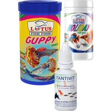 Lotus Guppy Granül Balık Yemi Seti, : Guppy Mix (250ML) + Tatil Yemi + Multivitamin